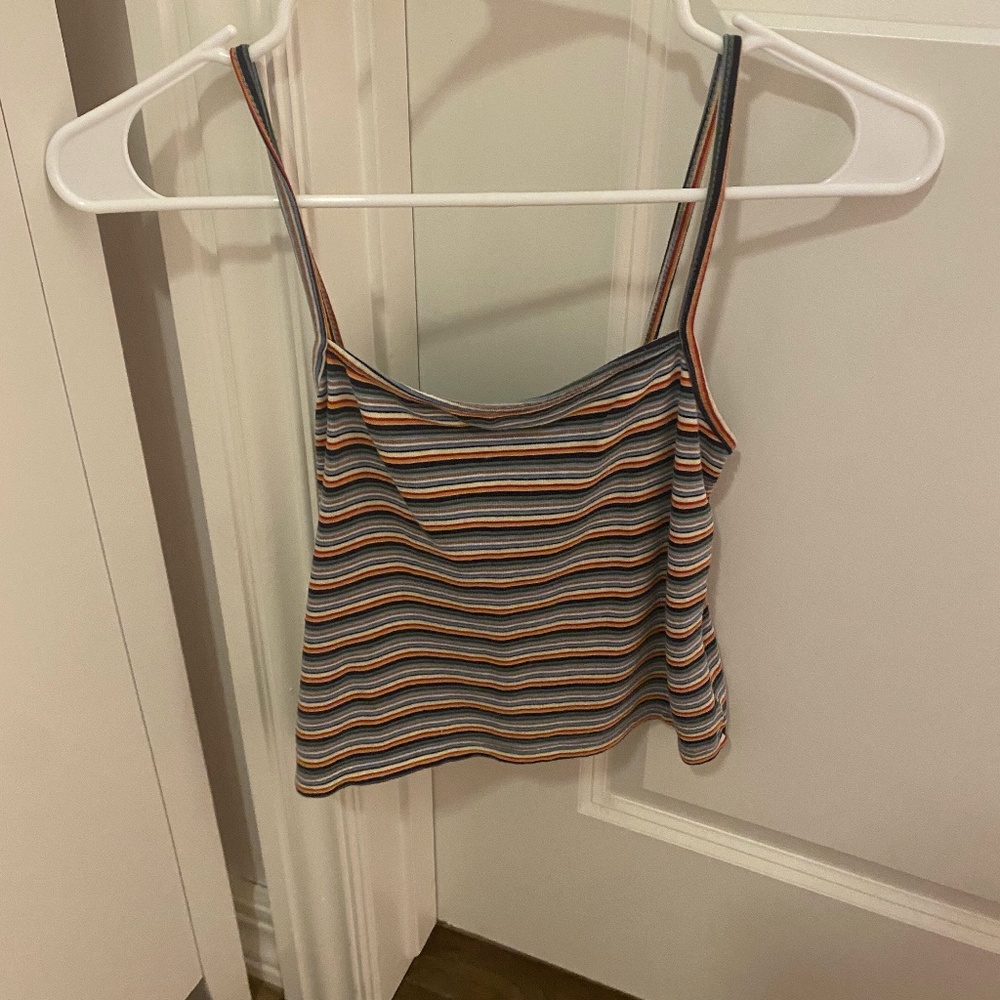 Brandy Melville Rainbow Striped Crop Top